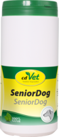 SENIOR Dog