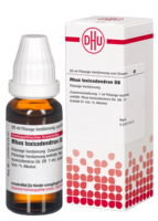 RHUS TOXICODENDRON D 8 Dilution