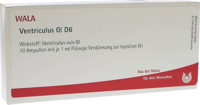 VENTRICULUS GL D 6 Ampullen