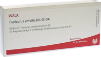 FUNICULUS UMBILICALIS GL D 4 Ampullen