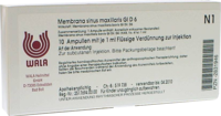 MEMBRANA sinus maxillaris GL D 6 Ampullen