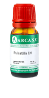 PULSATILLA LM 16 Dilution