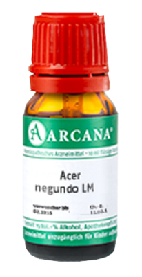 ACER negundo LM 22 Dilution