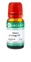 ALISMA plantago LM 25 Dilution