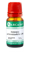 AMBROSIA ARTEMISIAEFOLIA LM 12 Dilution