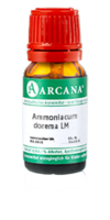 AMMONIACUM dorema LM 25 Dilution