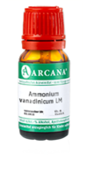 AMMONIUM VANADINICUM LM 75 Dilution