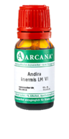 ANDIRA inermis LM 6 Dilution