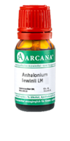 ANHALONIUM lewinii LM 75 Dilution