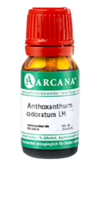 ANTHOXANTHUM odoratum LM 90 Dilution